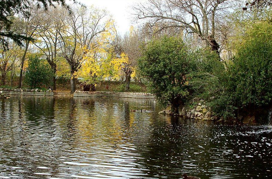 el capricho garden laguna