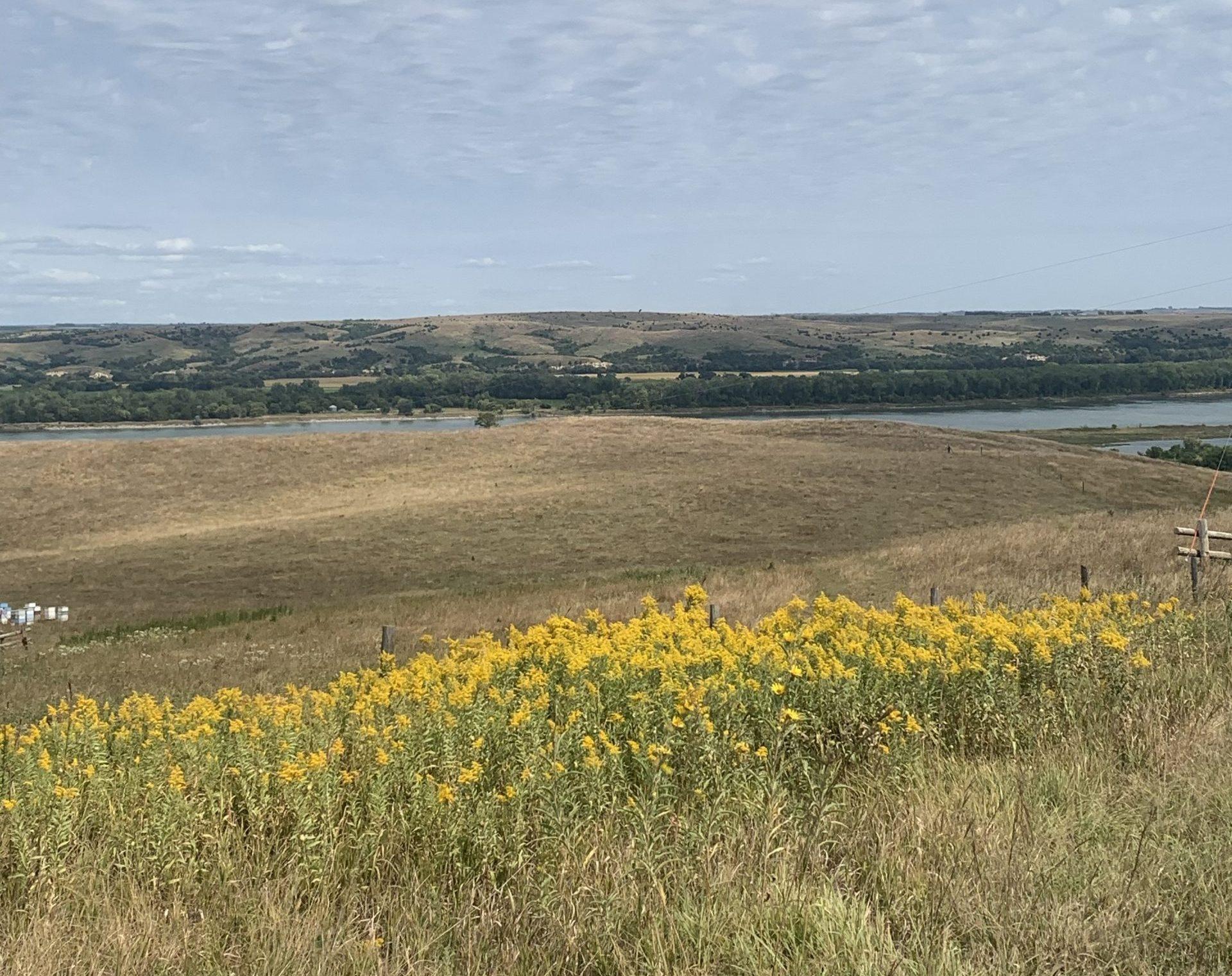 monowi nebraska usa blooming 1