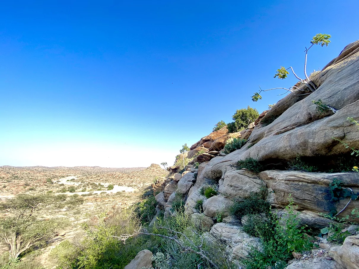 laas geel somaliland landscape