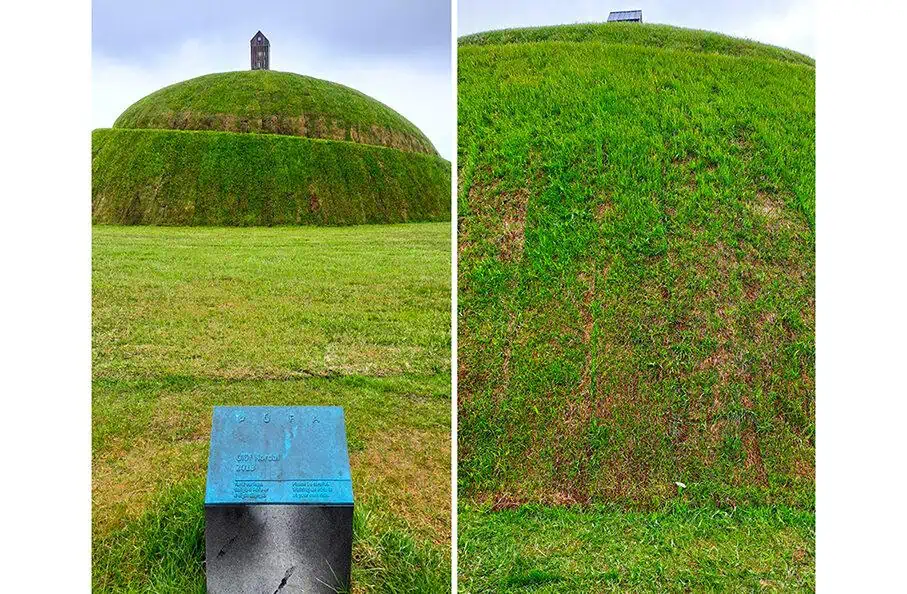 thufa iceland green