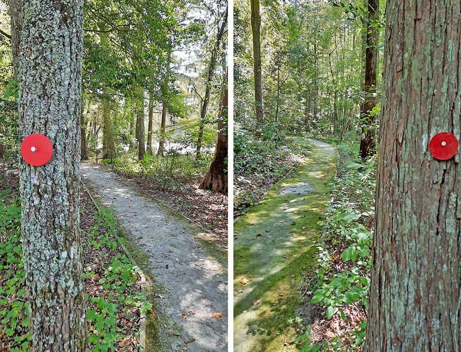 merchants millpond park north carolina us cypress point trail sign