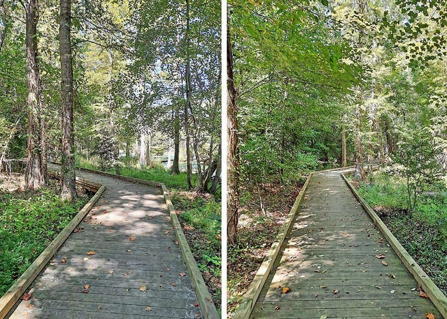 merchants millpond park north carolina us cypress point trail wooden deck