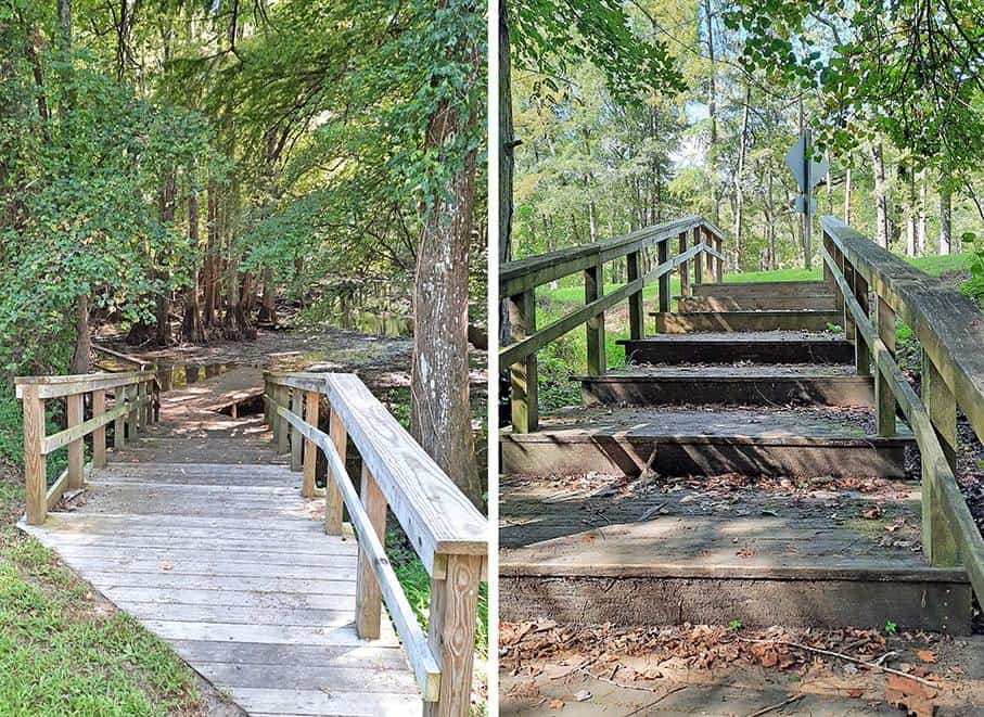 merchants millpond park north carolina us staircase swamp