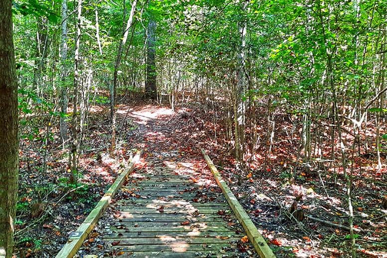 merchants millpond park north carolina us wooden bridge