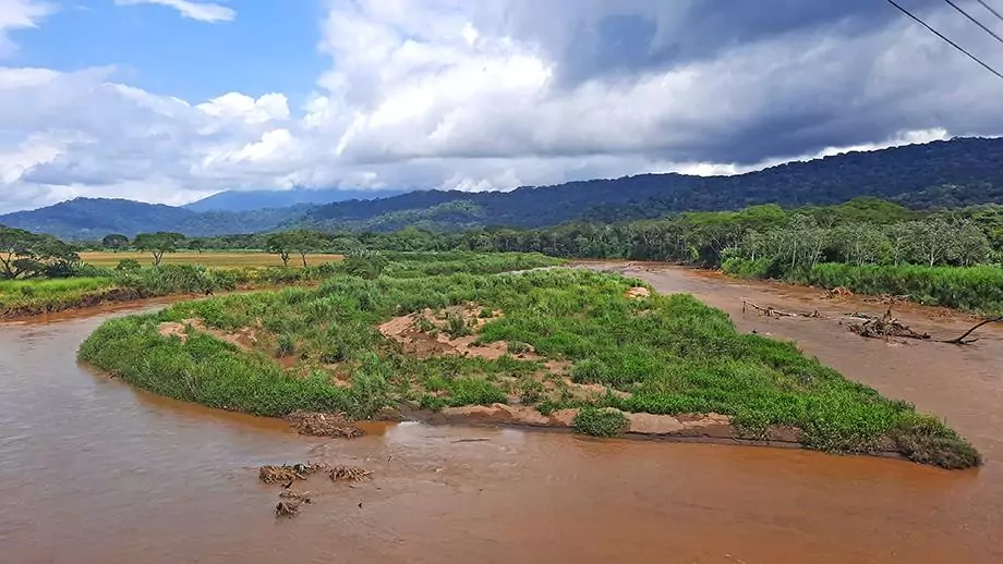 crocodile bridge costa rica island