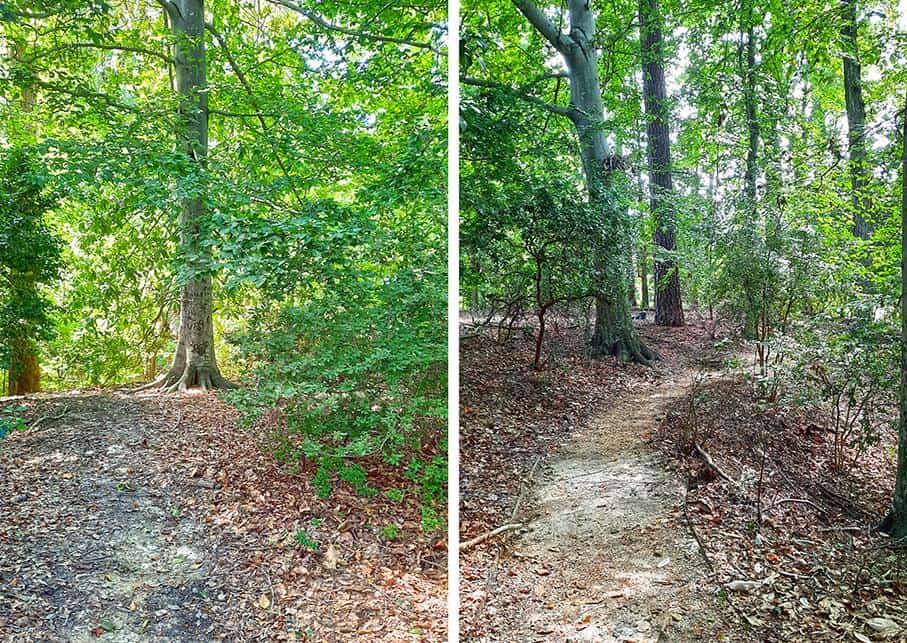 sunken garden williamsburg virginia us woodland pathway