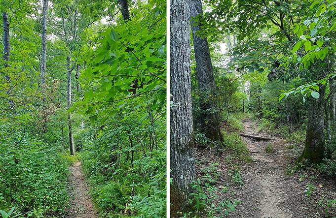blue ridge parkway north carolina us chestoa pathway