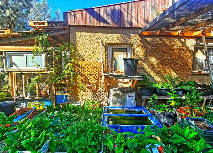 African Hebrew Israelites Community village of peace Dimona organic farm