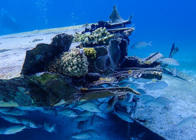 Pablo Escobar Carlos Lehder Smugglers sunken Plane Wreck Normans Cay The Bahamas 3