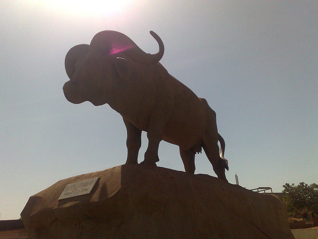 Place Sogolon Bamako Buffalo Square Mali 2
