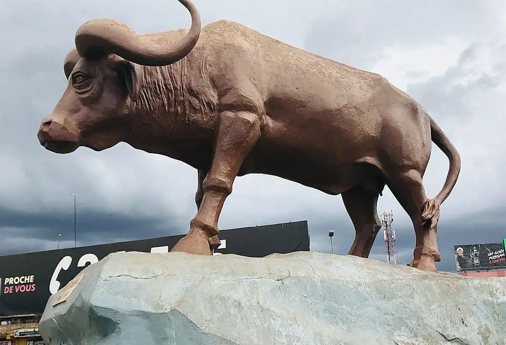 Place Sogolon Bamako Buffalo Square Mali 5