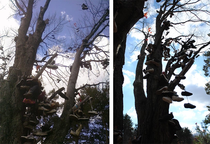 Kalkaska Shoe Tree Michigan US 3
