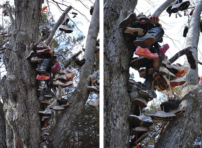 Kalkaska Shoe Tree Michigan US 4