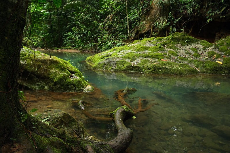 Actun Tunichil Muknal ATM Cave of the Crystal Sepulchre Belize 4