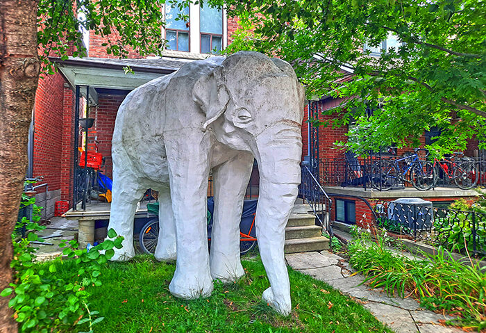 Elephant House Toronto Ontario Canada 2