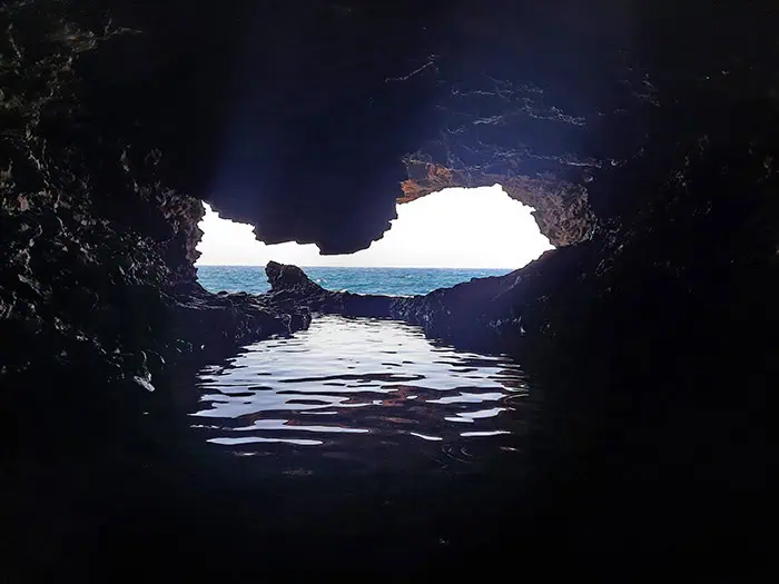 Animal Flower Cave Barbados 11