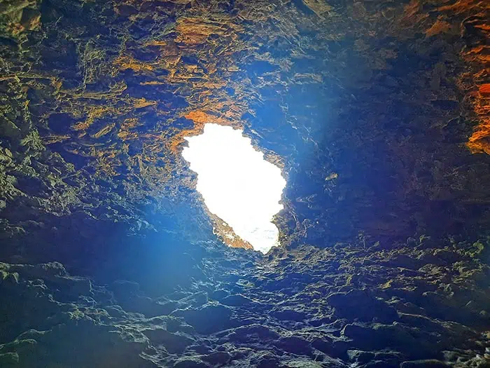 Animal Flower Cave Barbados 2