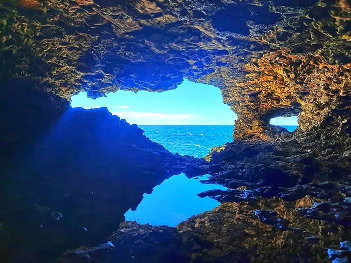 Animal Flower Cave Barbados 3