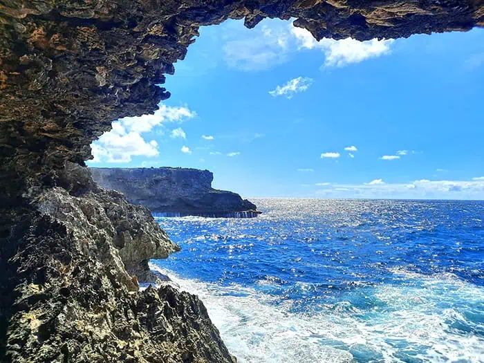 Animal Flower Cave Barbados 4