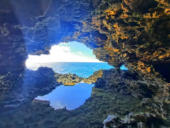 Animal Flower Cave Barbados 7