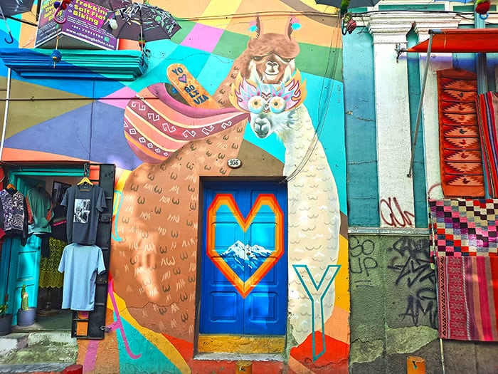 La Paz Umbrella Street Bolivia 8