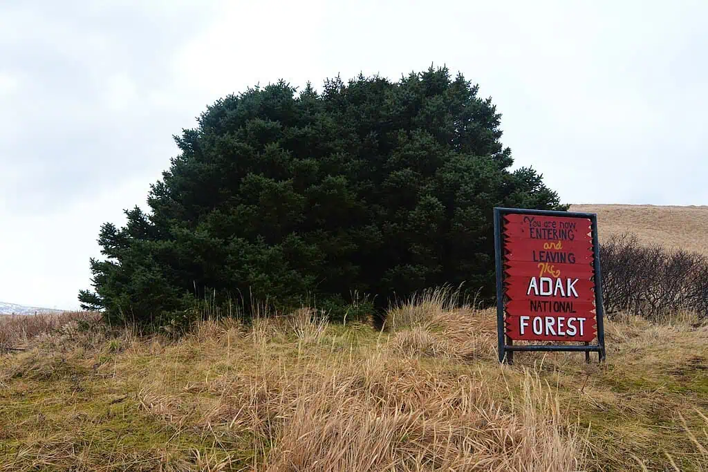 Adak National Forest Alaska US